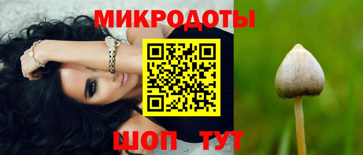 Златоуст  Галлюциногенные грибы ЛСД  Вход с VPN  дарнет шоп  Галлюциногенные грибы Psilocybe 