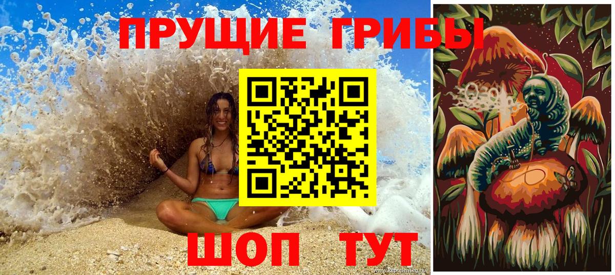 Галлюциногенные грибы Psilocybe Златоуст